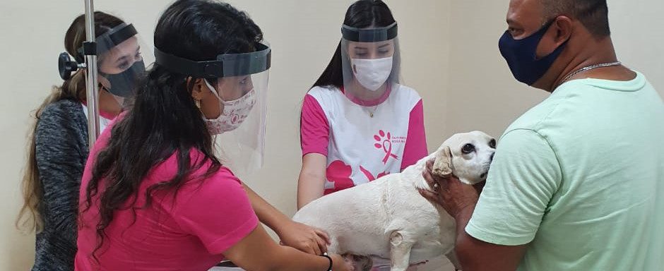 The 6th edition of Outubro Rosa Pet, a traditional event promoted by the Veterinary Medicine Course of UniSALESIANO, Araçatuba Brasil