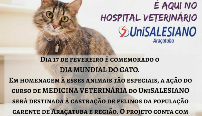 Iniciativa de Curso de Medicina Veterinária de Unisalesiano para o mês dos felinos.