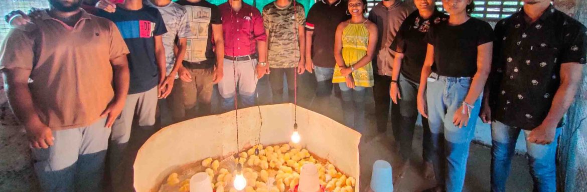Don Bosco College of Agriculture, final year students of Bachelor of Science in Agriculture as a part of their Experiential Learning Module Programme, started a module on Poultry Production,