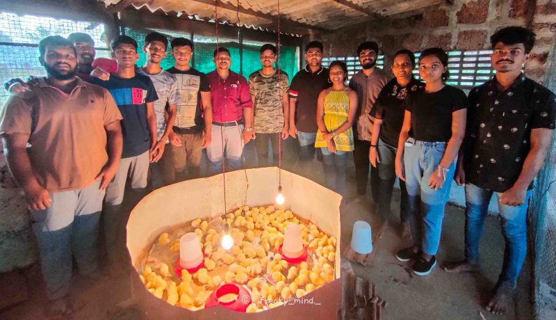 Don Bosco College of Agriculture, final year students of Bachelor of Science in Agriculture as a part of their Experiential Learning Module Programme, started a module on Poultry Production,