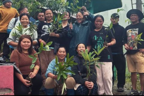 In a commendable display of community-driven environmentalism, Radio Salesian from Salesian College, in collaboration with the Rajahatta Explore Group, Anapurna Self-Help Group, and Kasturi SHG, marked World Environment Day 2025 with a significant tree-plantation drive. The initiative involved the planting of a variety of flowering and fruit-bearing trees in Rajahatta, Upper Sonada.