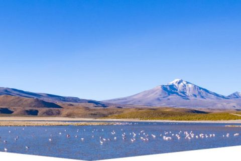 a Universidad Católica Silva Henríquez (UCSH) lidera una de las iniciativas más innovadoras en el norte del país: “Reciclarte – Economía circular y sustentable para Tarapacá: Iquique una comunidad en acción”, un proyecto financiado por el Fondo Regional de Ciencia, Tecnología e Innovación (CICYT 2024) del Gobierno Regional de Tarapacá, que busca convertir a la comuna de Iquique en un referente nacional en sostenibilidad ambiental y economía circular, mediante la participación activa de vecinos, escuelas, recicladores de base y autoridades locales.