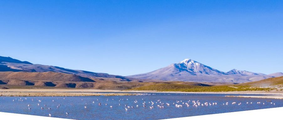 a Universidad Católica Silva Henríquez (UCSH) lidera una de las iniciativas más innovadoras en el norte del país: “Reciclarte – Economía circular y sustentable para Tarapacá: Iquique una comunidad en acción”, un proyecto financiado por el Fondo Regional de Ciencia, Tecnología e Innovación (CICYT 2024) del Gobierno Regional de Tarapacá, que busca convertir a la comuna de Iquique en un referente nacional en sostenibilidad ambiental y economía circular, mediante la participación activa de vecinos, escuelas, recicladores de base y autoridades locales.