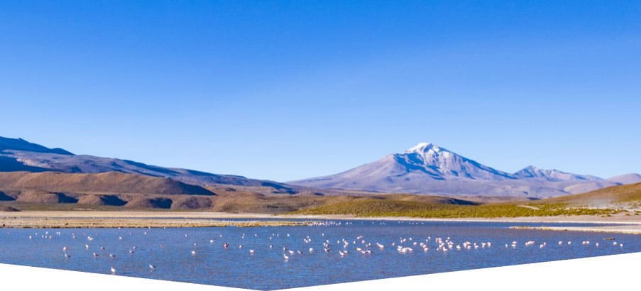 a Universidad Católica Silva Henríquez (UCSH) lidera una de las iniciativas más innovadoras en el norte del país: “Reciclarte – Economía circular y sustentable para Tarapacá: Iquique una comunidad en acción”, un proyecto financiado por el Fondo Regional de Ciencia, Tecnología e Innovación (CICYT 2024) del Gobierno Regional de Tarapacá, que busca convertir a la comuna de Iquique en un referente nacional en sostenibilidad ambiental y economía circular, mediante la participación activa de vecinos, escuelas, recicladores de base y autoridades locales.