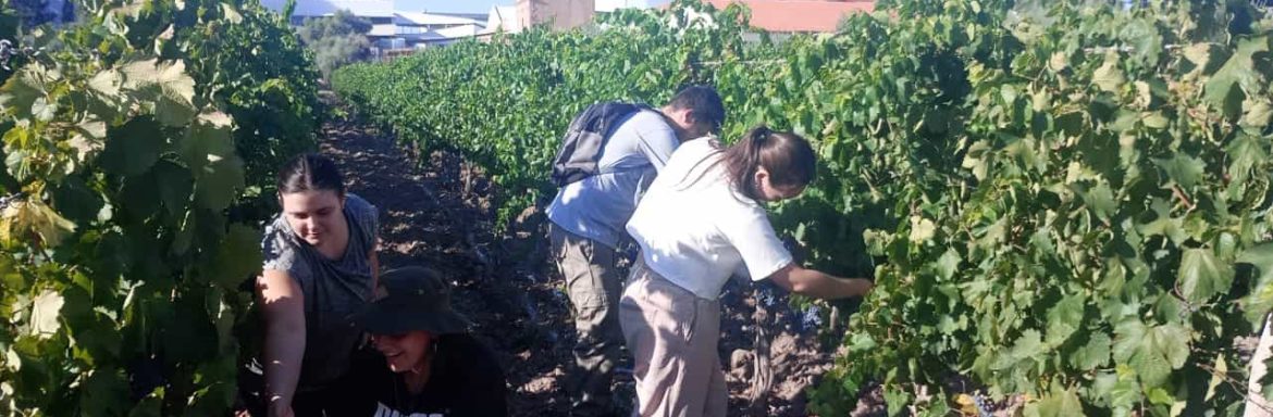 La Facultad Don Bosco Facultad Don Bosco: Primera Facultad de Enología de Latinoamérica (Argentina) se consagra como la institución educativa más premiada de Latinoamérica, con excelencia en vitivinicultura y uno de los mejores aceites de oliva del mundo